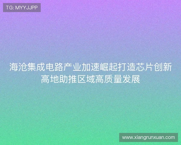 海沧集成电路产业加速崛起打造芯片创新高地助推区域高质量发展